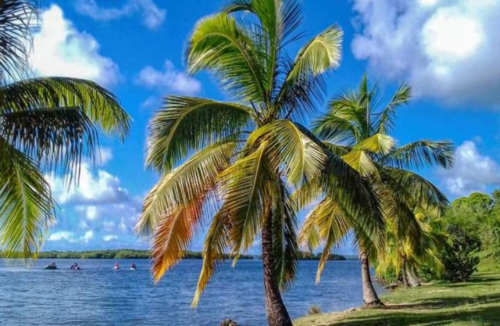 Agence de transport Grande-Terre