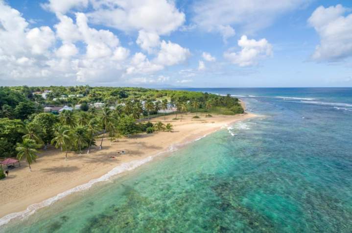 Opérateur de transport en Grande-Terre