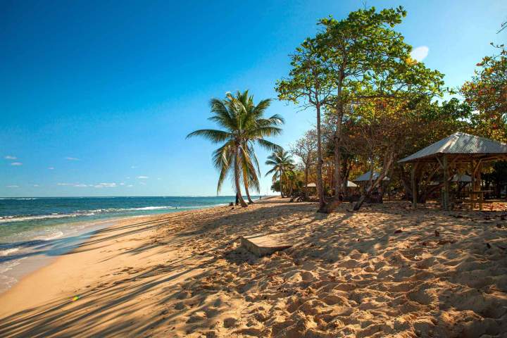 Agence de transport Grande-Terre